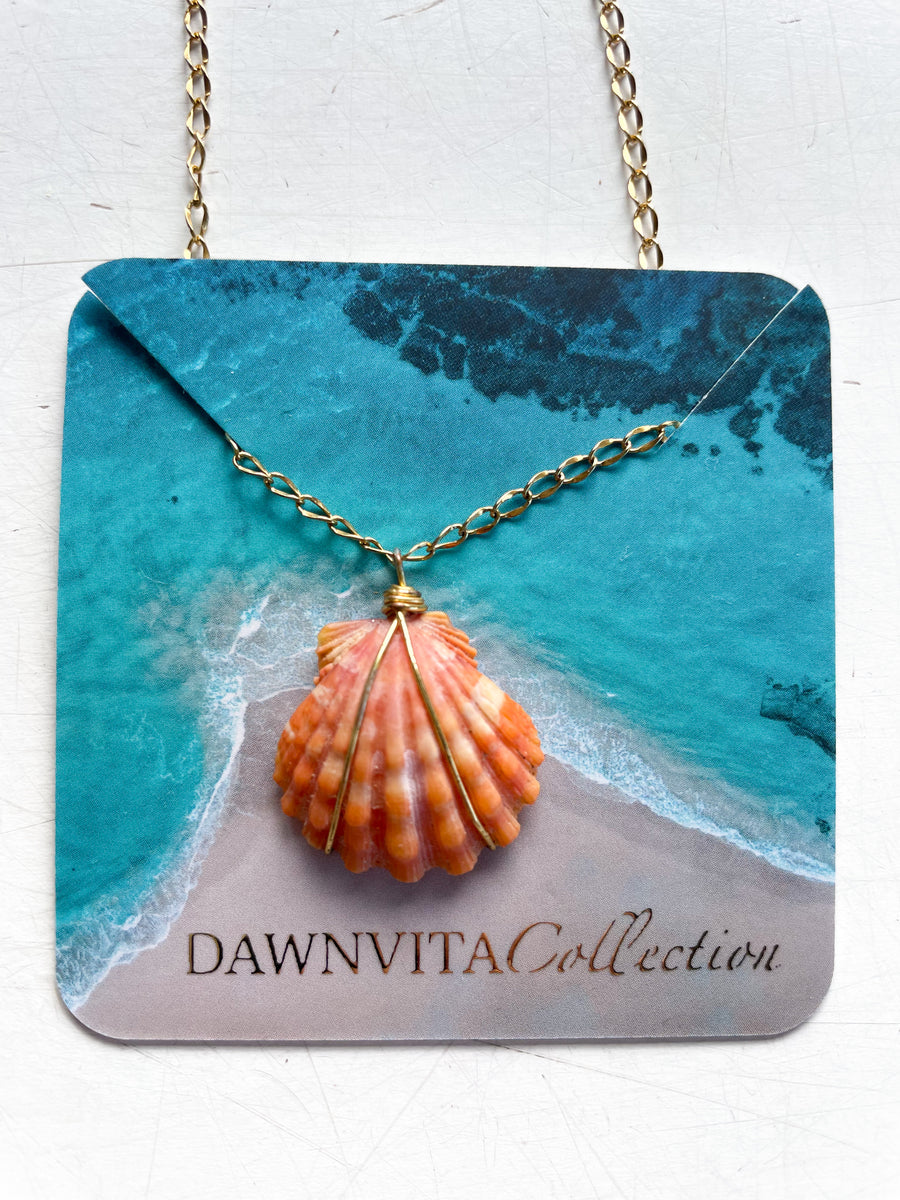 DVC SUNNY BIKINI HANALEI