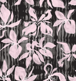 ERRA-TENSO TOP-MOONLILY